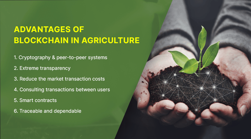 2 Advantages Of Blockchain In Agriculture