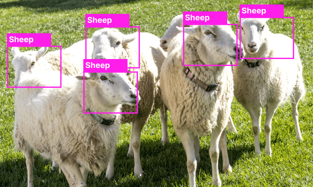 Computer vision in agriculture